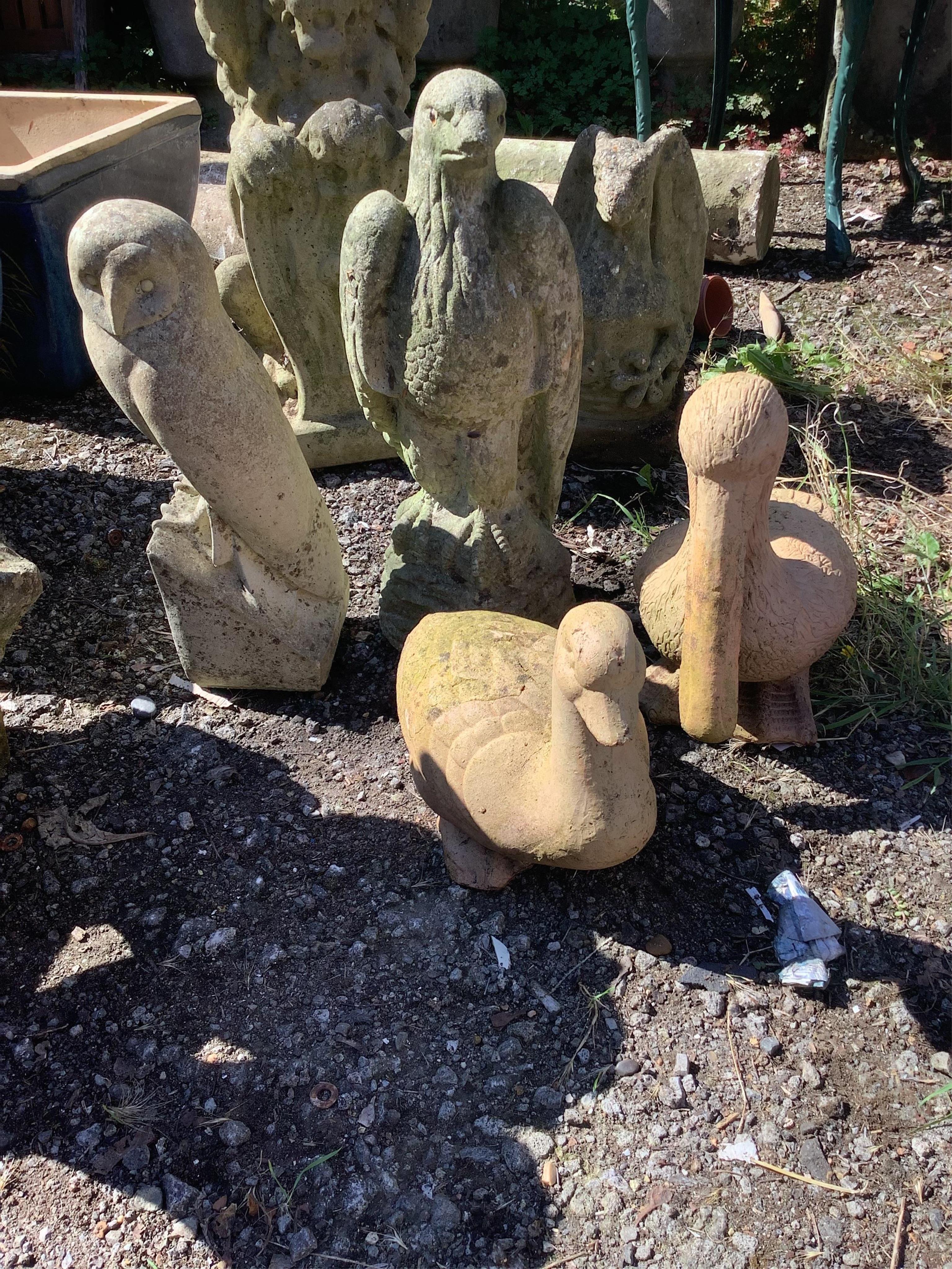 Four reconstituted stone bird garden ornaments, largest height 48cm. Condition - fair